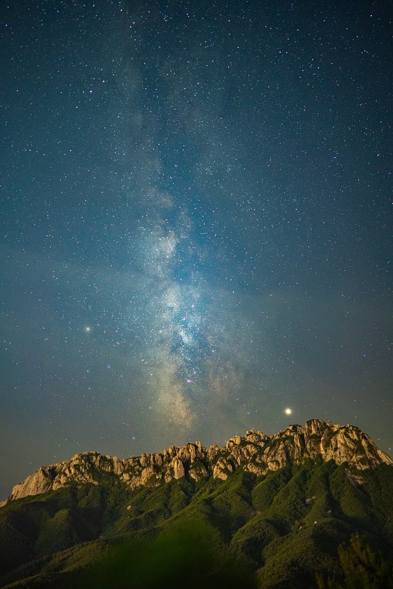 Starry Night Garden